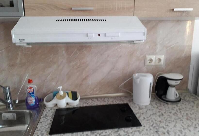 דירת 2 חדרים עם טרסה, Mavrova Guest House