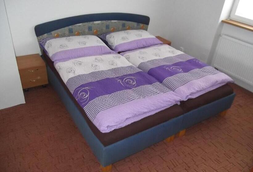آپارتمان 1 خوابه, Penzion Apartmány Zlín