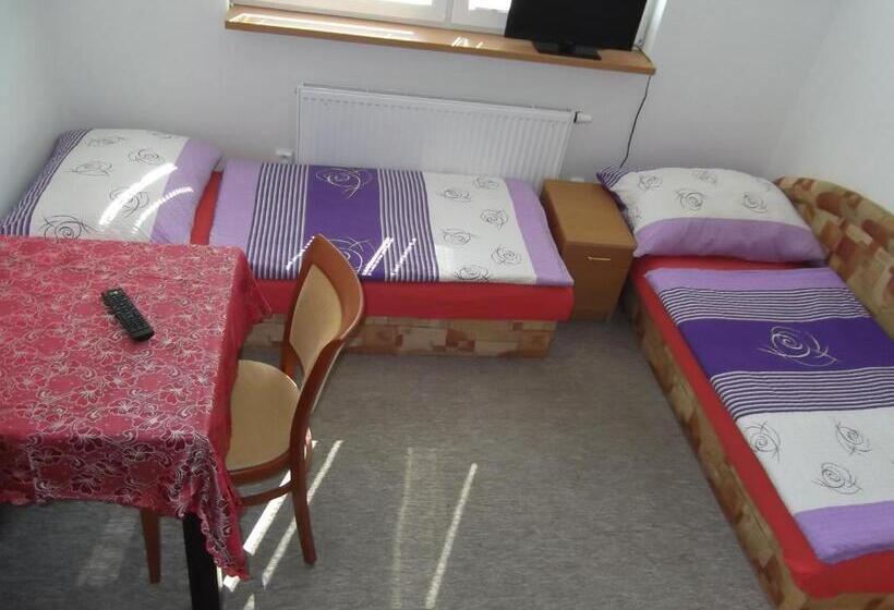 חדר סטנדרט יחיד, Penzion Apartmány Zlín