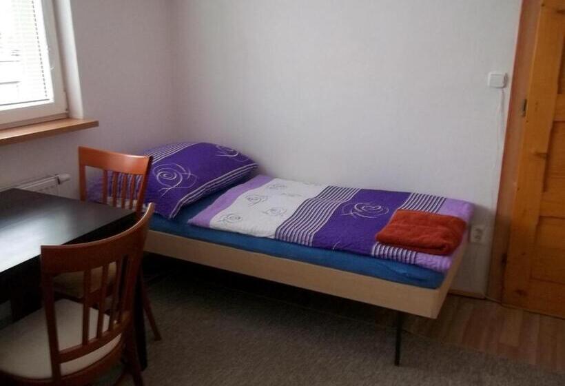 חדר סטנדרט יחיד, Penzion Apartmány Zlín