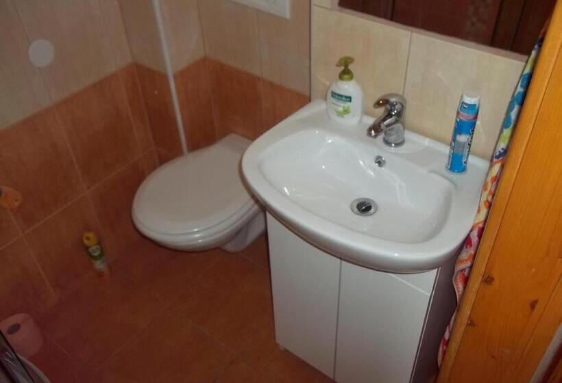 חדר סטנדרט יחיד, Penzion Apartmány Zlín