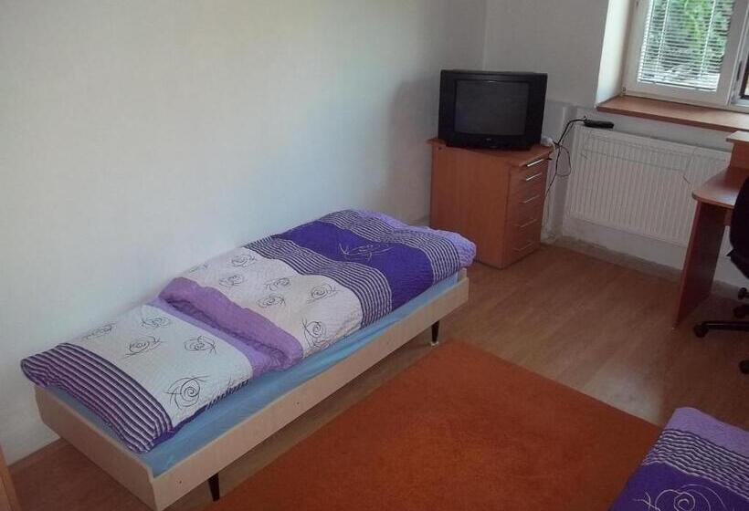 اتاق استاندارد یک نفره, Penzion Apartmány Zlín