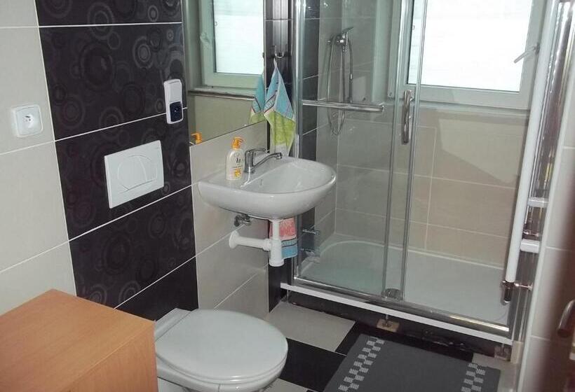 آپارتمان عادی 1 خوابه, Penzion Apartmány Zlín