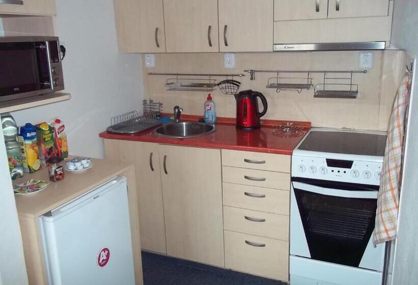 דירת חדר בסיסית, Penzion Apartmány Zlín