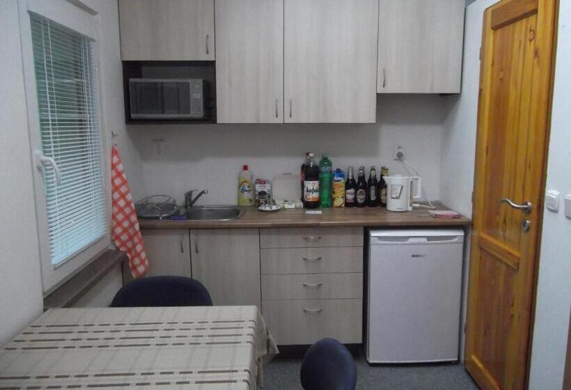 דירת חדר בסיסית, Penzion Apartmány Zlín