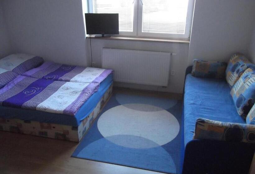 דירת חדר בסיסית, Penzion Apartmány Zlín