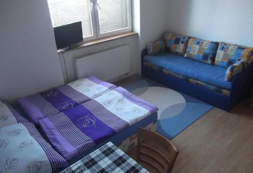 آپارتمان عادی 1 خوابه, Penzion Apartmány Zlín