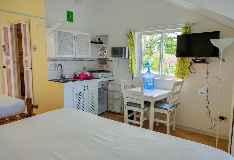 استودیوی استاندارد, B&b Aparthotel La Isleta