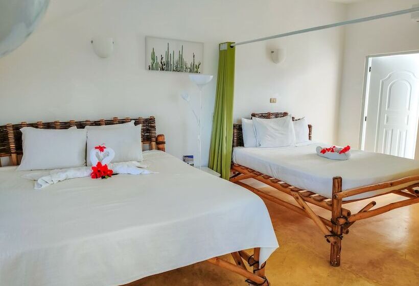 استودیوی استاندارد, B&b Aparthotel La Isleta