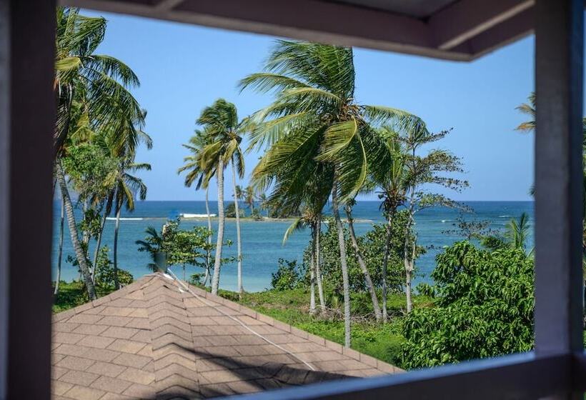 استودیوی استاندارد, B&b Aparthotel La Isleta