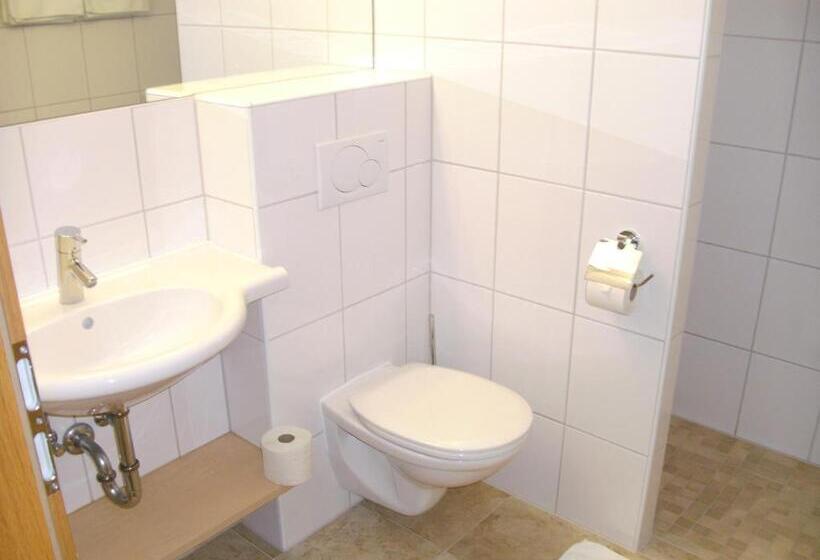 Номер Стандарт с Балконом, Hirzingerhof