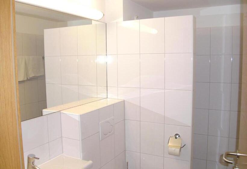 Номер Стандарт с Балконом, Hirzingerhof