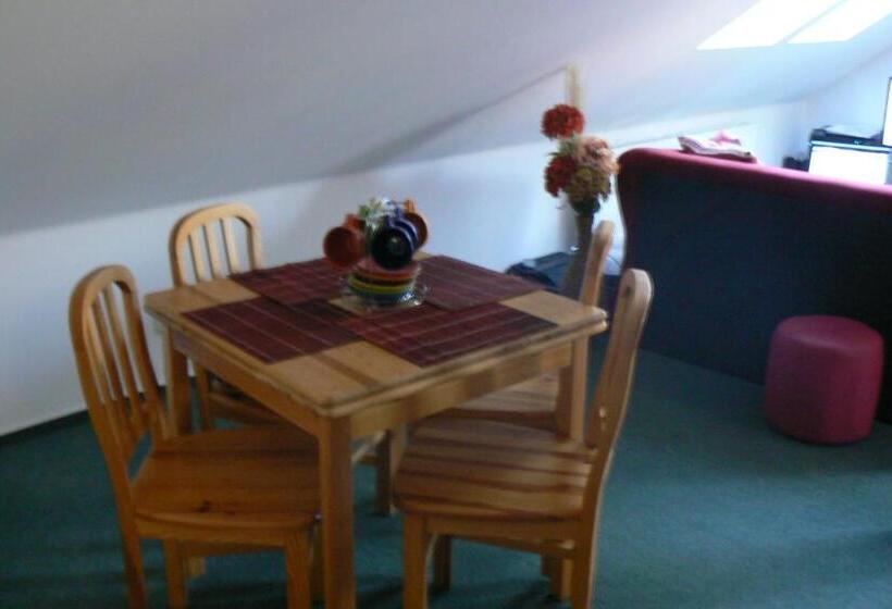 آپارتمان 1 خوابه, Penzion Na Vápence