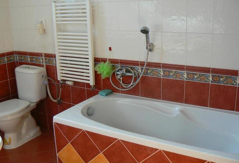 اتاق سوپریور, Penzion Na Vápence