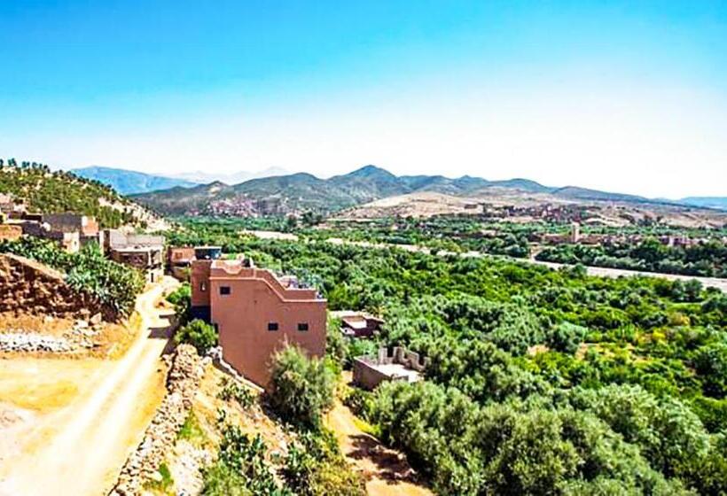 سوئیت رویال, Jad Auberge