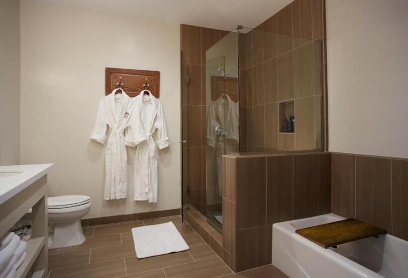 اتاق استاندارد با تخت بزرگ, Summerwood Inn