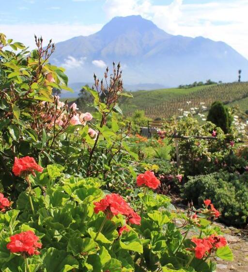 Люкс Вид на Горы, Hosteria Rose Cottage