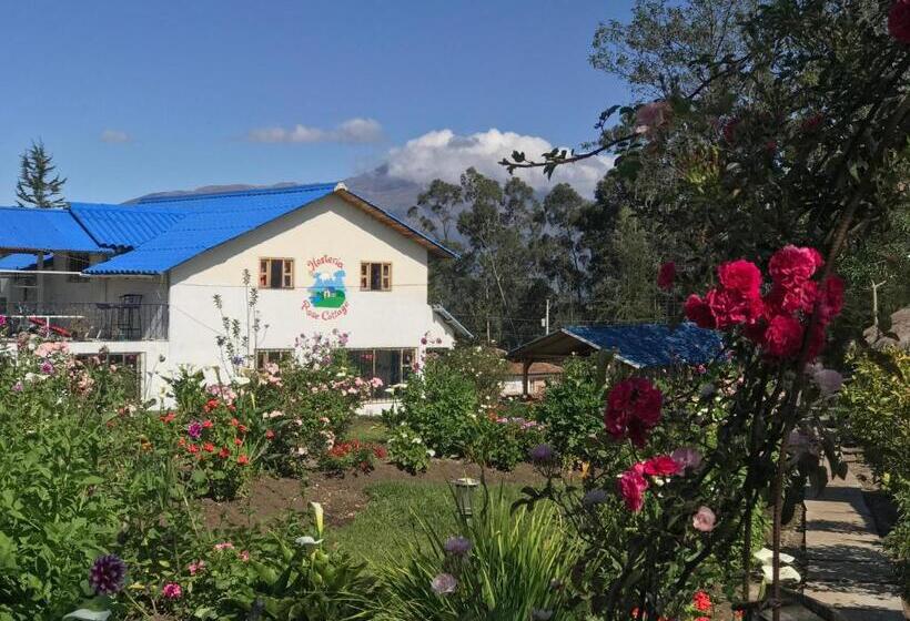 Номер Economy, Hosteria Rose Cottage