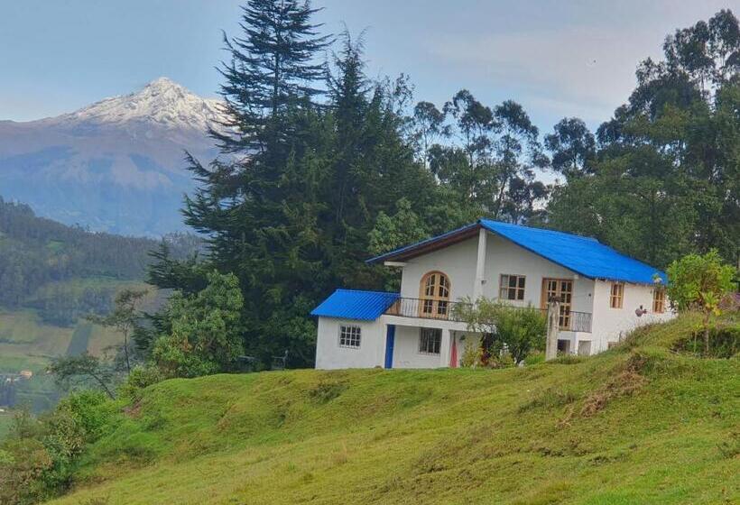 Номер Economy, Hosteria Rose Cottage