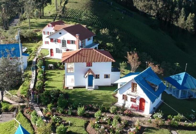 Апартаменты 1 Спальня Нижний Этаж, Hosteria Rose Cottage