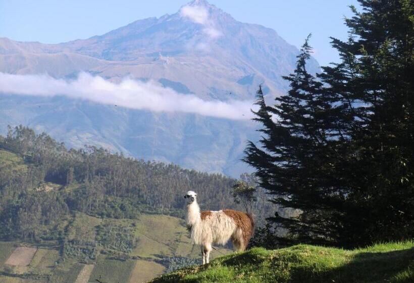 Люкс Вид на Горы, Hosteria Rose Cottage