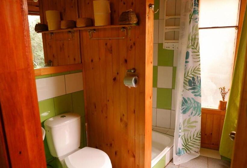 Номер Стандарт, Hostel Capanegra