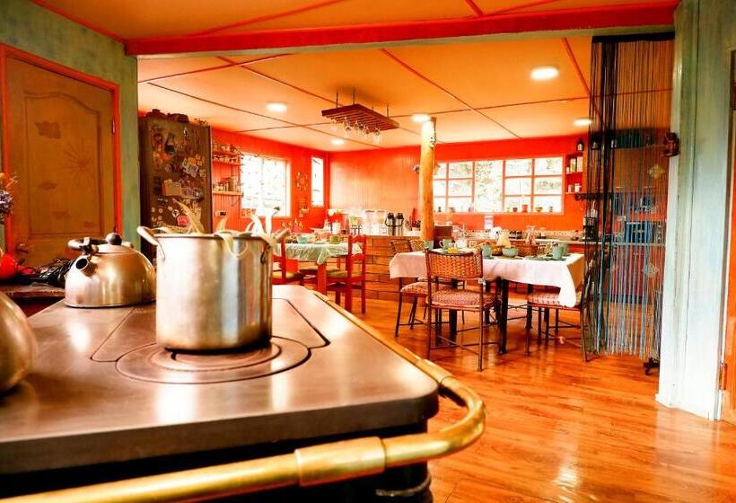 单人经济间, Hostel Capanegra