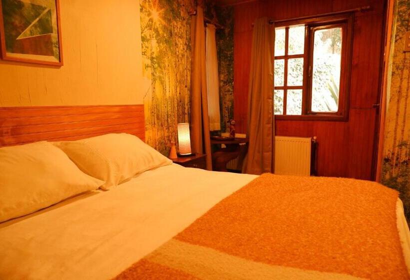 高级大房间, Hostel Capanegra