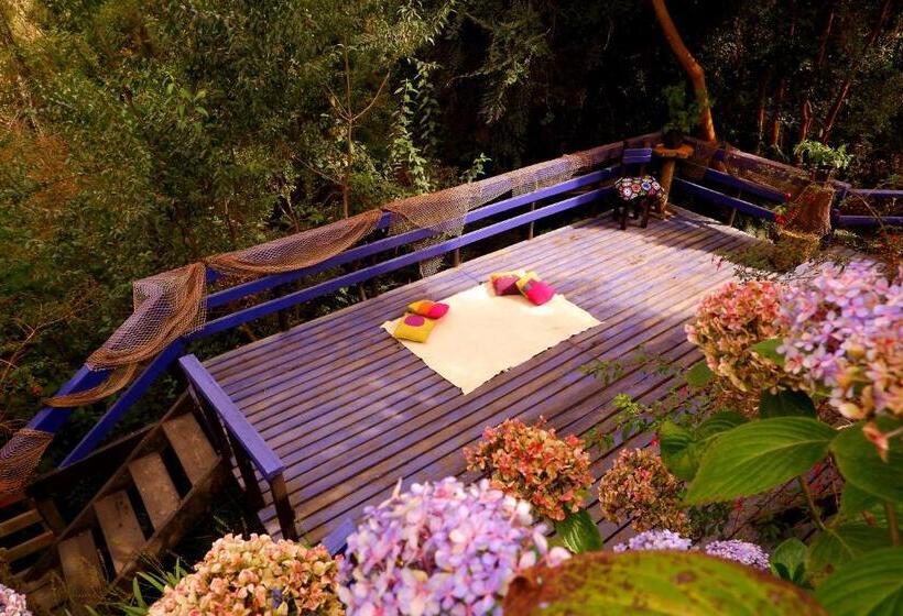 Номер Superior, Hostel Capanegra