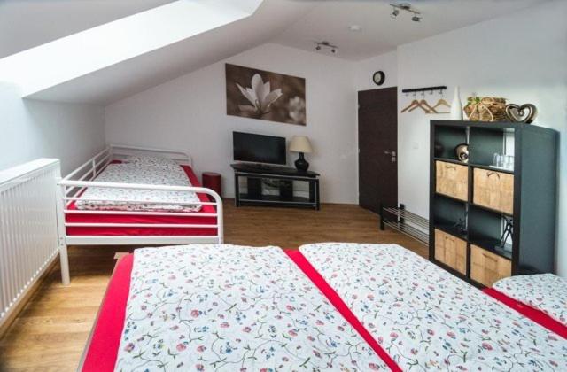 غرفة قياسية رباعية, Penzion   Rybolov Pro Děti A Dospělé