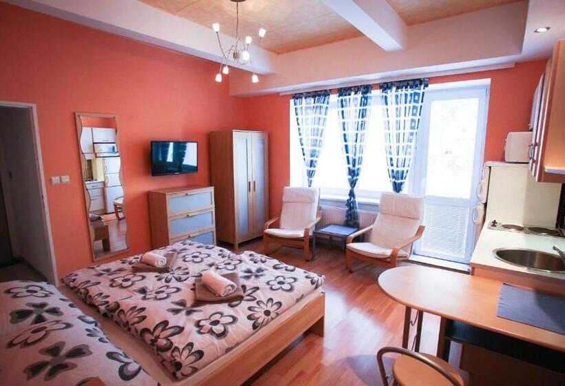 חדר סטנדרט, Ubytování V Brně Schodová