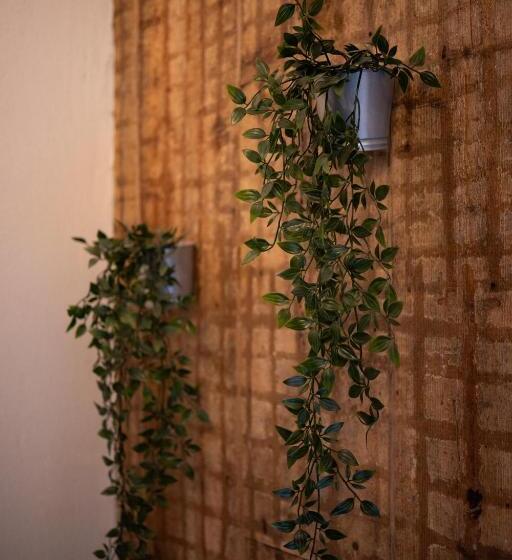 اتاق استاندارد سه نفره, Two Wheels