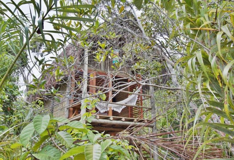 스탠다드 방갈로, Village Mata Encantada