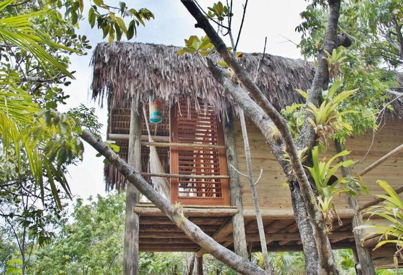 바다 전망 스탠다드 방갈로, Village Mata Encantada