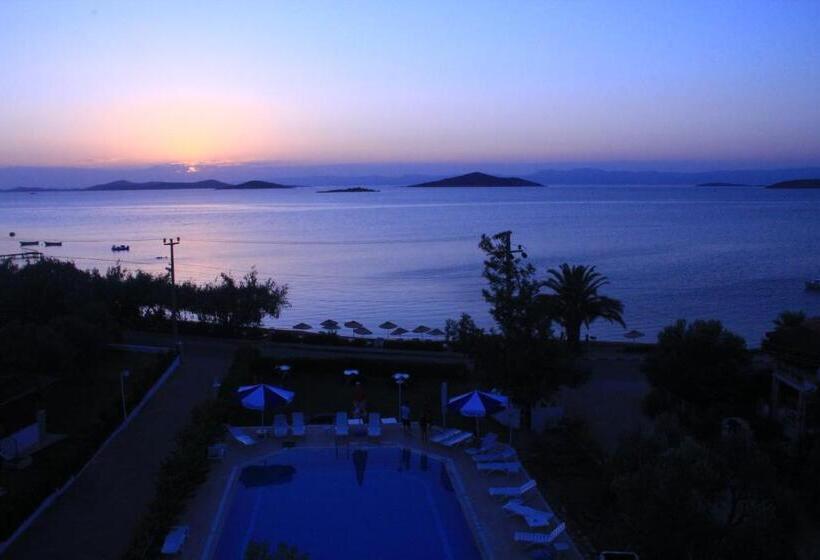 Апартаменты 1 Спальня Вид на Море, Ege Apart &