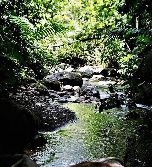 ‫فيلا غرفة نوم واحدة, Encantada Guest House