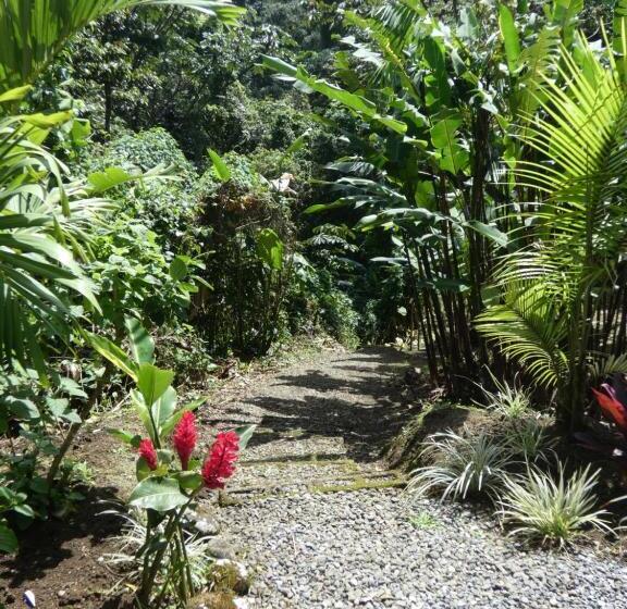 ‫فيلا غرفة نوم واحدة, Encantada Guest House