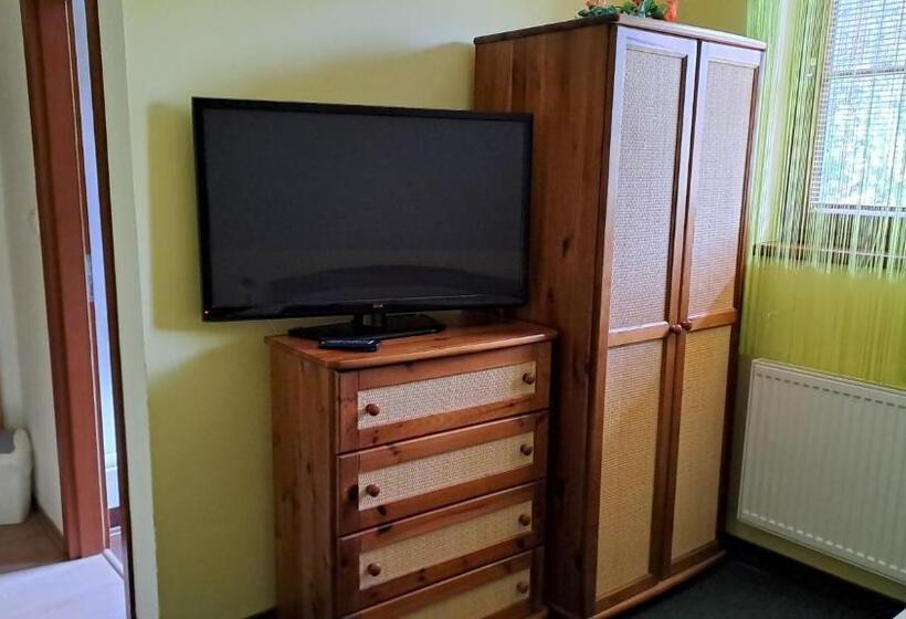 スタンダードシングルルーム, Penzión Mlynárka