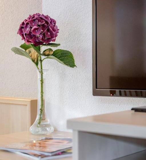 חדר דלוקס, Pension Granbichler