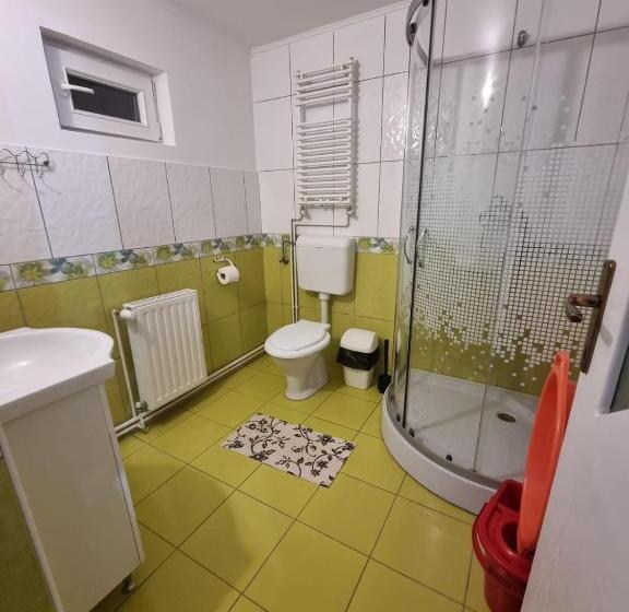 스탠다드 발코니 스튜디오, Pensiunea Soare Si Luna