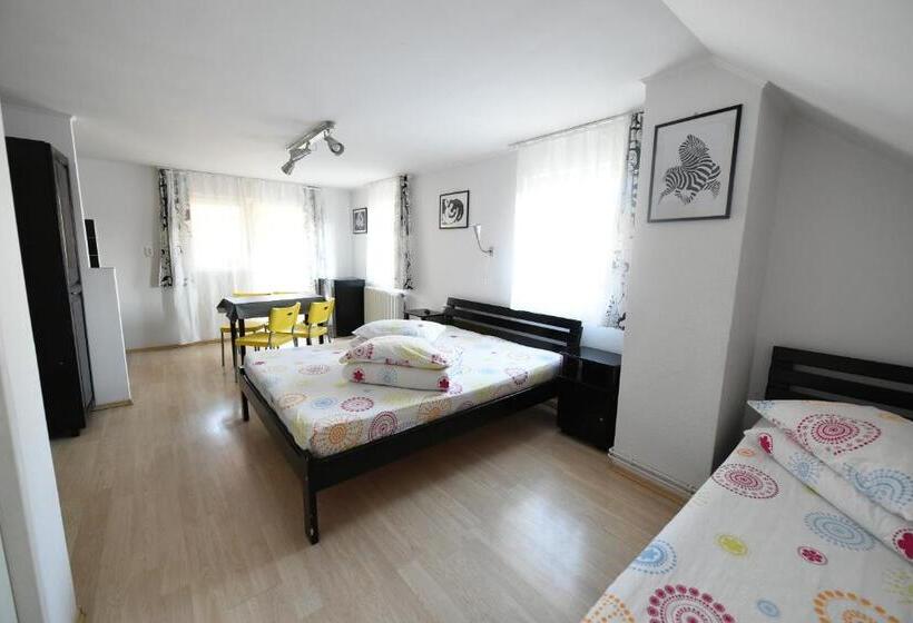 스탠다드 발코니 스튜디오, Pensiunea Soare Si Luna