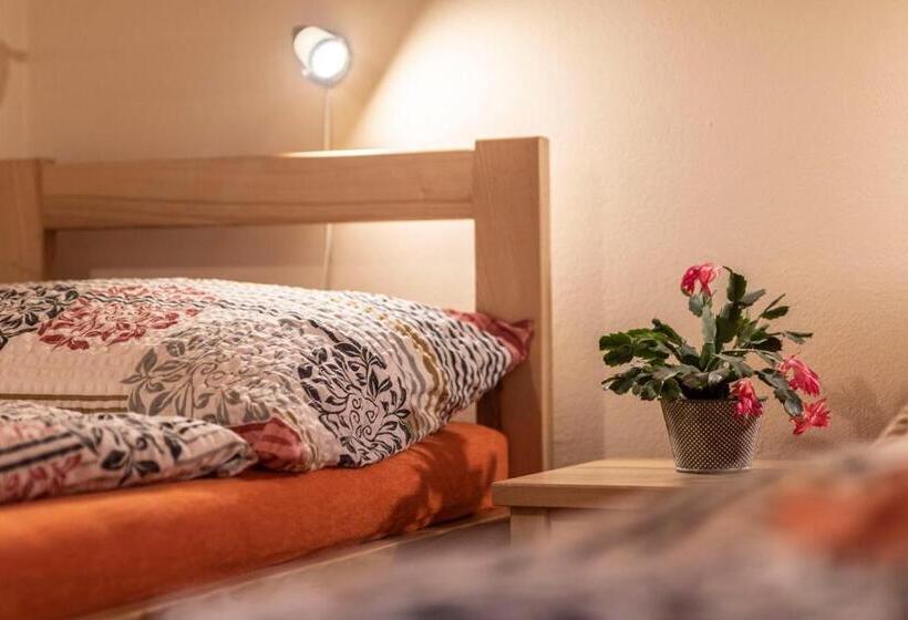 Апартаменты 1 Спальня, Penzion U Vichu