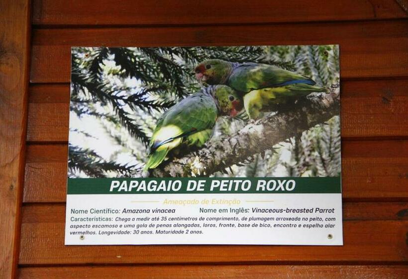 샬레, Recanto Da Mata Pousada