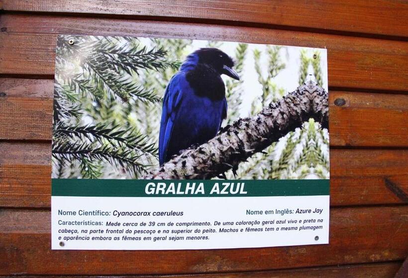 一居室别墅, Recanto Da Mata Pousada