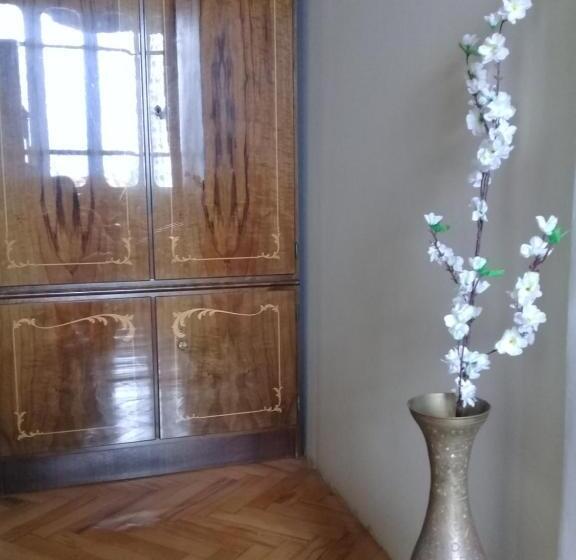 اتاق استاندارد با سرویس بهداشتی مشترک, Tlt Guest House