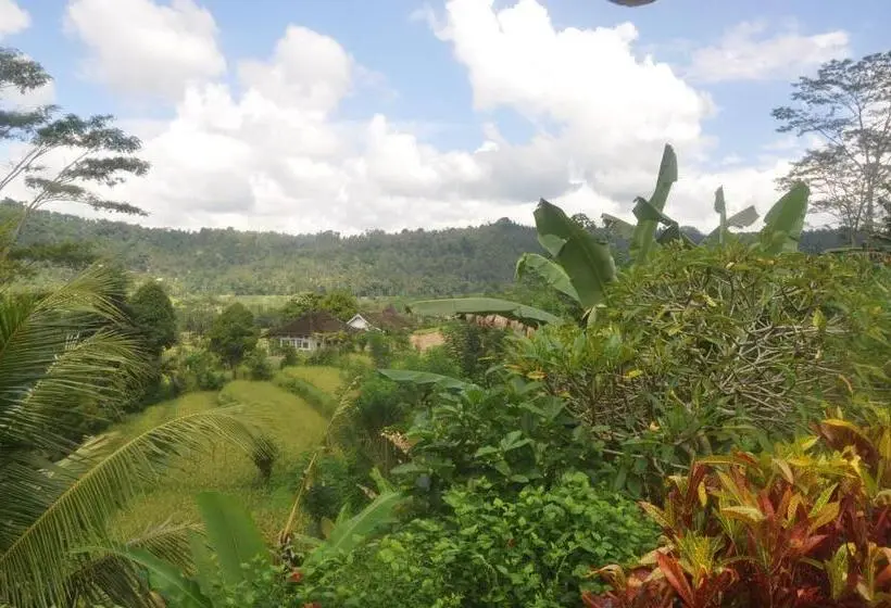 デラックスルーム, Villa Shantiasa Bali