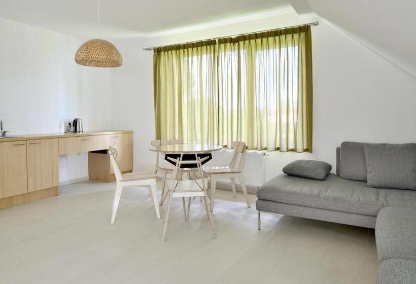 استودیوی استاندارد, Draugų Namai