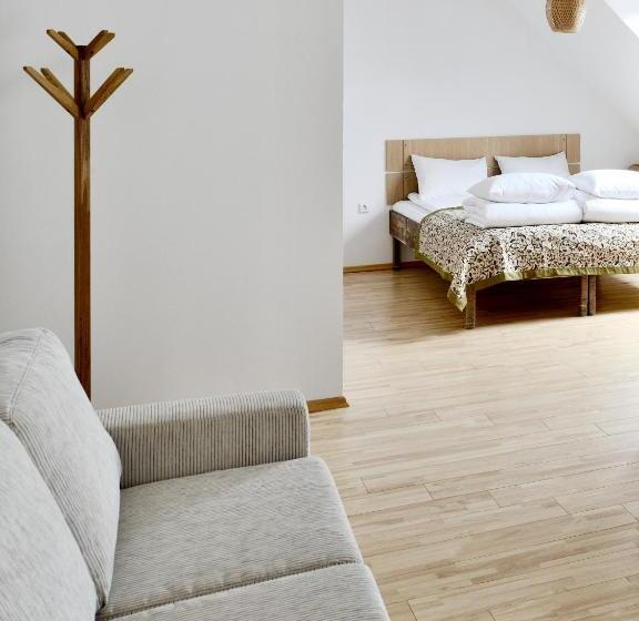 استودیوی استاندارد, Draugų Namai