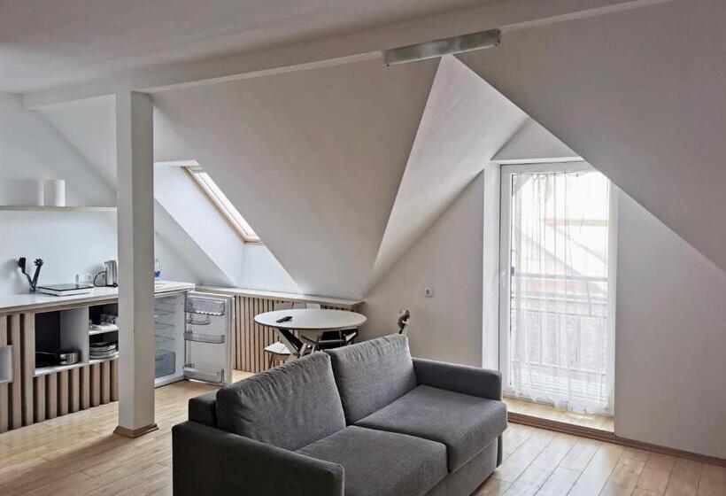 استودیو خانوادگی, Draugų Namai