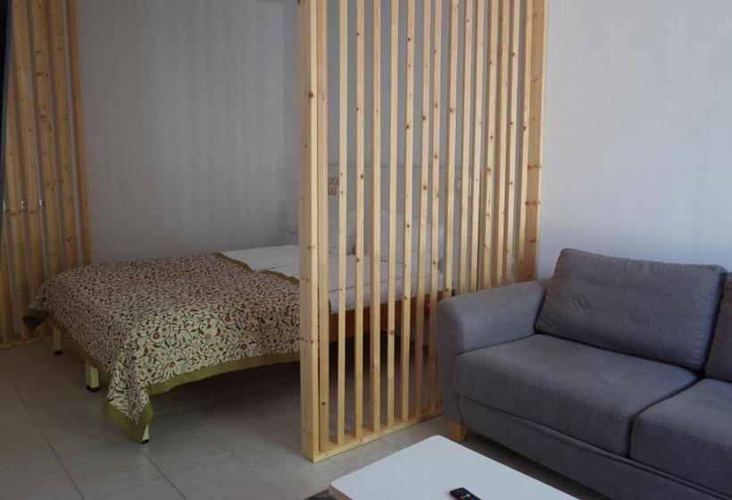 استودیو استاندارد با تراس, Draugų Namai